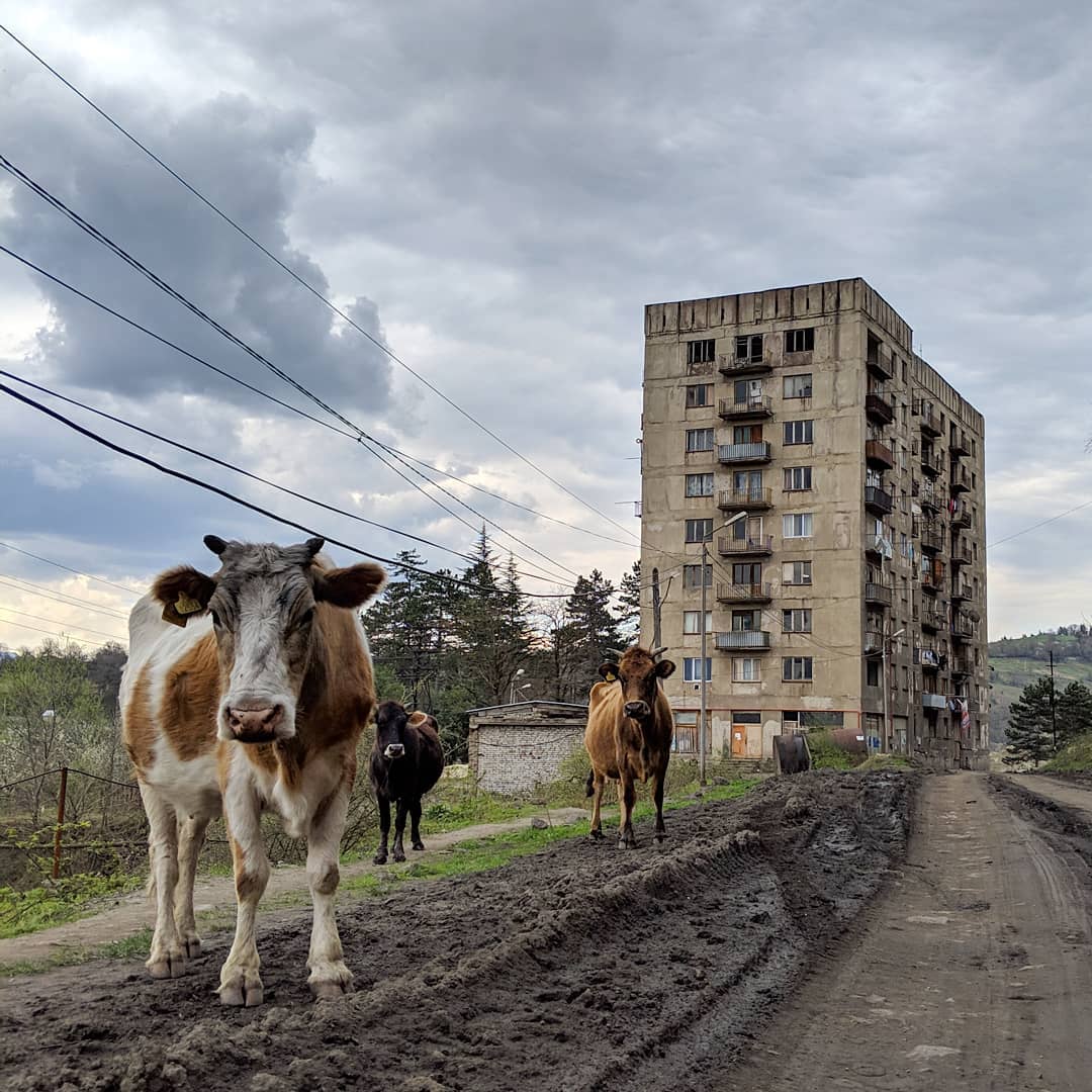 Pasture • Chiatura, Georgia 🇬🇪 Pasture • Chiatura, Georgia 🇬🇪